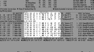 Training to Win - Brisnet PPs and Insider Picks and Power Plays