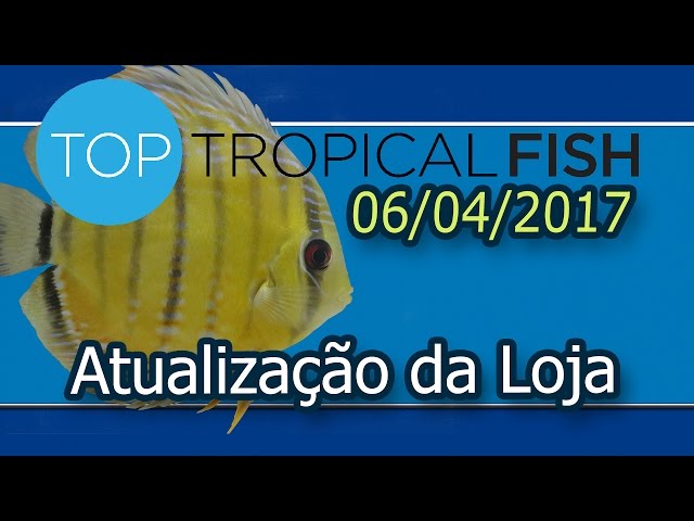 Top Tropical Fish - Atualização 06/04/2017