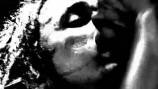 Since October "In this Moment" Live