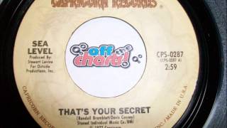 Sea Level - That's Your Secret ■ 45 RPM 1978 ■ OffTheCharts365