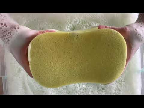Green Pine Bucket squeezes  ASMR Sponge Squeezes