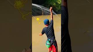 Download lagu jala ikan nilem di air keruh! #jalaikan #fishingnet #ikannilem mp3