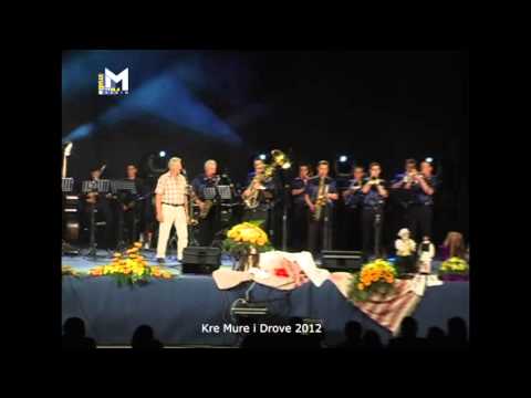 Gusti Draksar uz LG Skandal bend - Međimurski zdenci mrzla voda, mix (Kre Mure i Drove, Prelog)