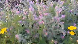 Download lagu RABBANAA LYRIC (RHOMA IRAMA & ANISA RAHMAN) mp3 Download lagu RABBANAA LYRIC (RHOMA IRAMA & ANISA RAHMAN) mp3