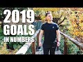 MY 2019 GOALS IN NUMBERS