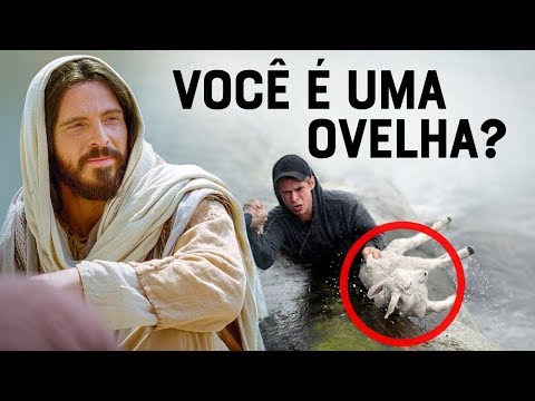 SEE IF YOU ARE A SHEEP OF JESUS ​​(What Does the Parable of the Lost Sheep Mean)