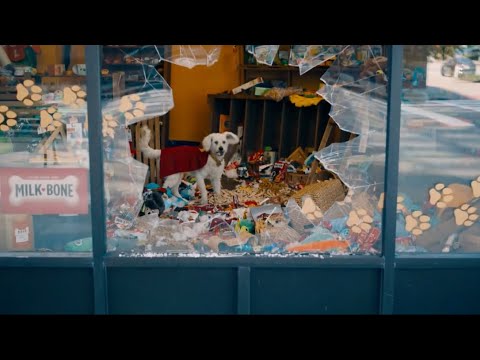 Krypto Saves Superman | Superman (2025) Full HD