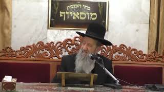 הרב בן ציון מוצפי • מנהגי חול המועד פסח • לימוד שיר השירים • ניסן תשפ"א