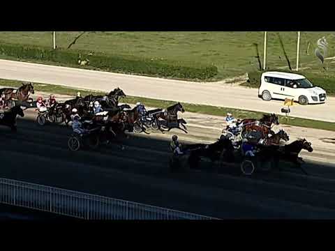 Aversa trotto 1 Marzo 2023 - 5° Corsa