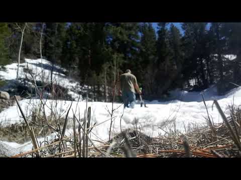 Beaver Basecamp