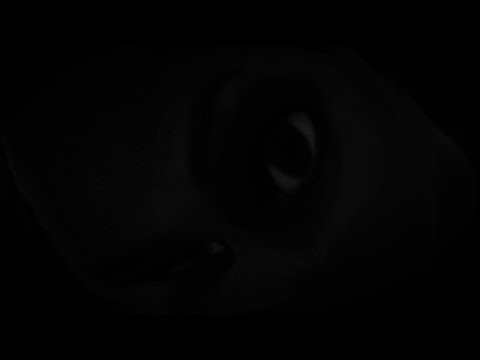 Combat Platform : Level 78 Stealth #79  * In Sneaking suit * Metal Gear Solid V Fob Invasion . Xbox