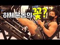 제대로 배우면 하체와 힙에 가장 좋은 이운동