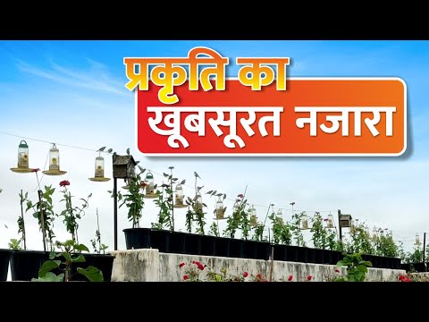 प्रकृति का खूबसूरत नजारा I Beautiful view of nature