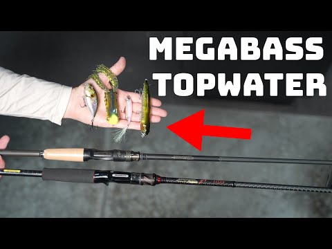 Everything You NEED To Know About Megabass Topwater Baits!
