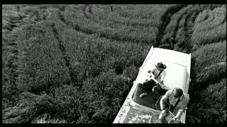 Blue County - That&#39;s Cool (Official Music Video)