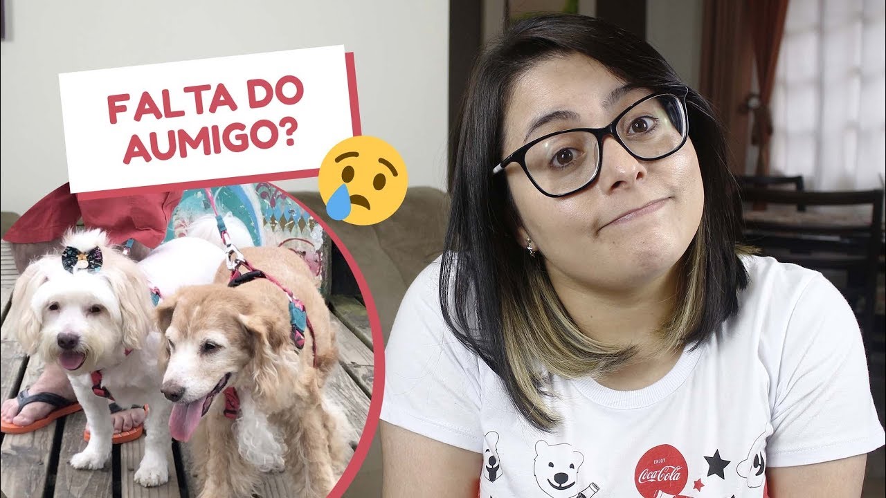 Quando um cão morre, o outro sente falta?