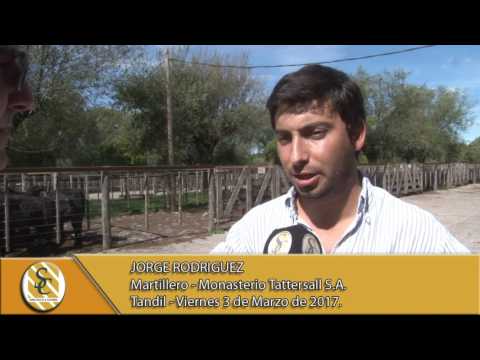 03-03-17 Nota Jorge Rodriguez - Coop. A. G. Tandil y Vela - Monasterio Tattersall - Tandil.