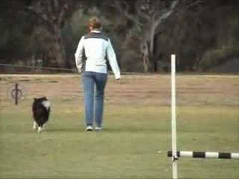 Ness April 5 2008 - Seekback