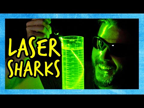 Frickin' LASER BEAM Shark Science