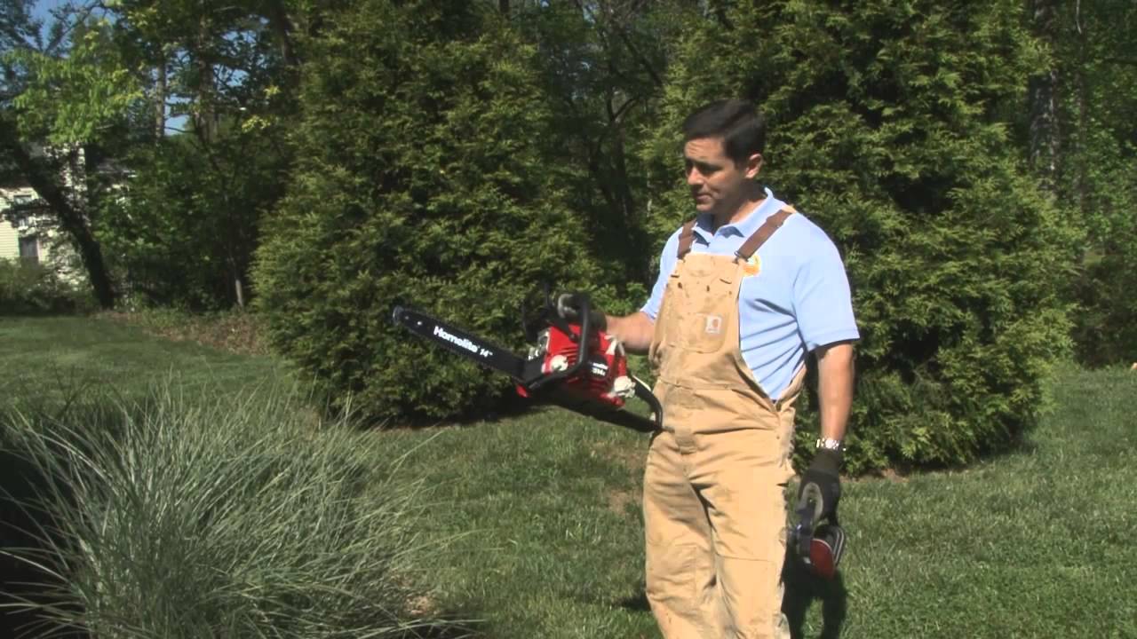 Divide Grasses the Easy Way