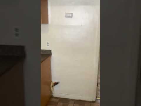 4228 W Bonny Place - Video 2 of 2
