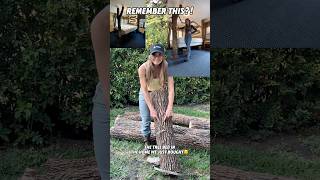 Download lagu Final revenge on the Tree Bed that caused me a lot of grief 😂 #funny #diy #fyp mp3 Download lagu Final revenge on the Tree Bed that caused me a lot of grief 😂 #funny #diy #fyp mp3
