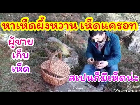 การเพิ่มขึ้นของสมาชิก vidio เรือสมองอ่อนแอ
