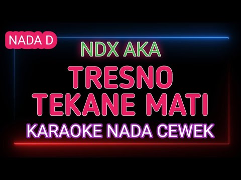 TRESNO TEKANE MATI - Karaoke Nada Wanita - NDX AKA