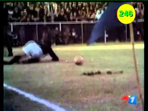 Springbok Try Nr: 246 - Frik du Preez (1968 - British Lions, 1st Test, Loftus Versfeld)