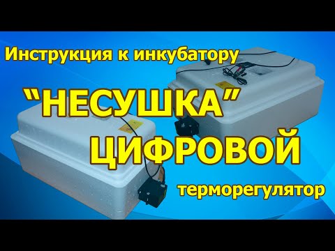 Инкубатор НЕСУШКА с цифровым терморегулятором. I купить инкубатор