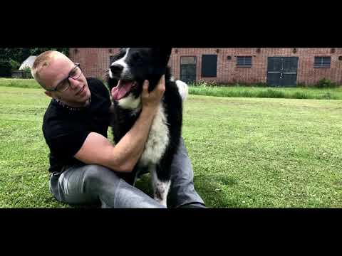 CZACHA - Błazen / Nowa era (prod. Dream Zone)