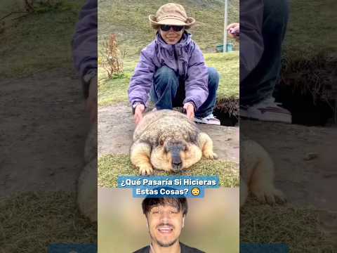 ¿Qué Pasaría Si Hicieras Estas Cosas? #shorts