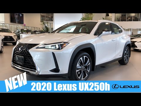 2020 Lexus UX250h AWD Eminent White Pearl | In-Depth Video Walk Around