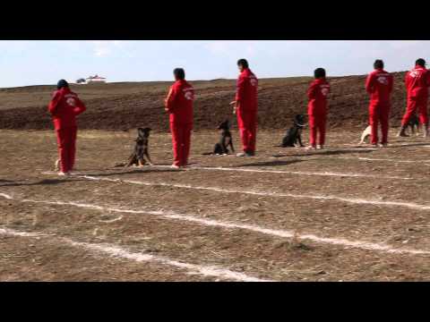 Vafa Shelter Of Qazvin