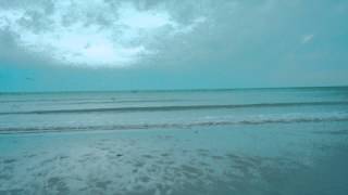 Baden Baden - Le courage des oiseaux (Reprise de Dominique A)