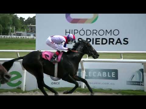 220211 c03 -  POTRI KOWBOY  - HIPODROMO LAS PIEDRAS