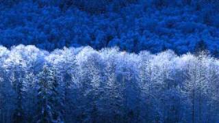 If you think God is dead, look around.wmv