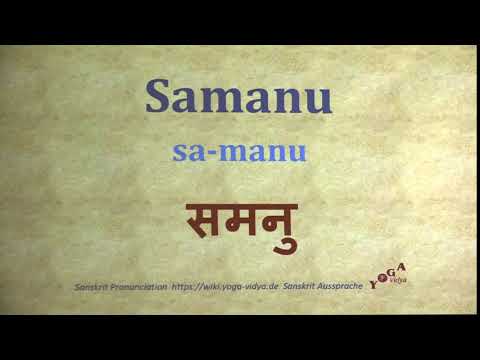 Samanu Pronunciation Sanskrit समनु sa manu