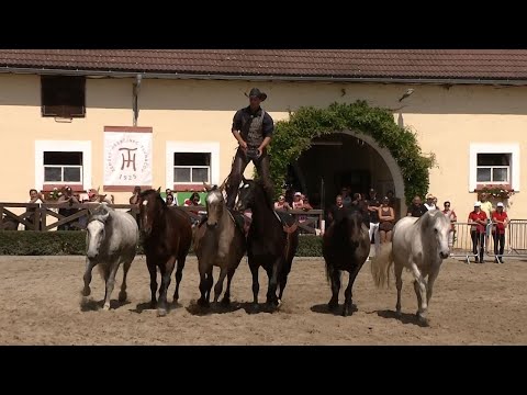 Záznam – 2. část – kaleidoskop vystoupení: Chovatelský den v Tlumačově, 26. 6. 2022