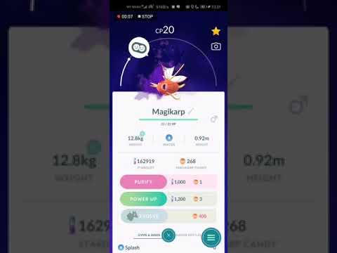 Purify a shadow magikarp and gets a 3 star FULL iv