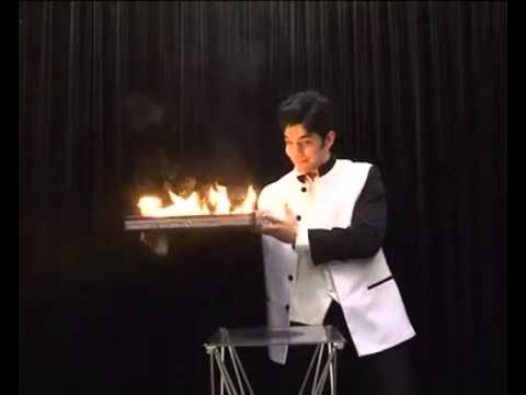 Fire, Flower & Dove Cage from Tray - Tora