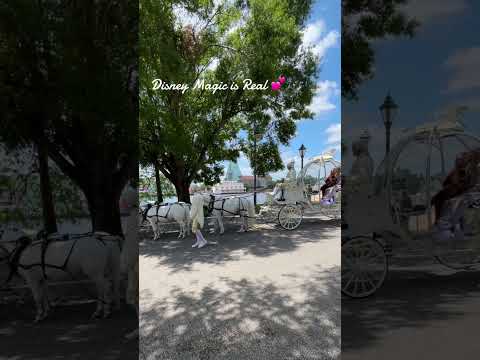 Thumbnail for Cinderella’s Carriage | Disney Magic at Its Finest