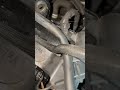 IMG 8801