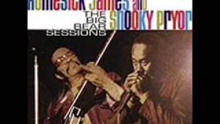 The Woman I Love  : Homesick James