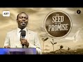 The Seed Of The Promise Phaneroo Service 427 Apostle Grace Lubega