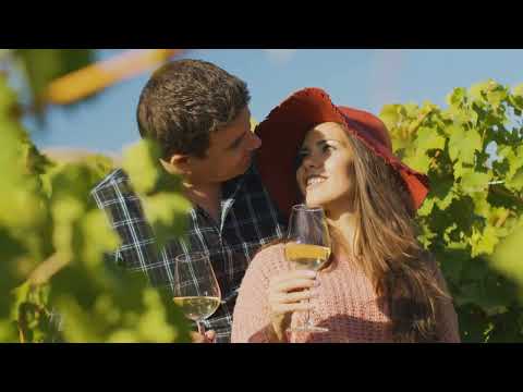 Master Wine Selection  Insider Tips Reve