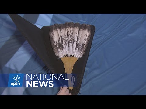 Solving the mystery of who owns an eagle fan retrieved from a dumpster | APTN News