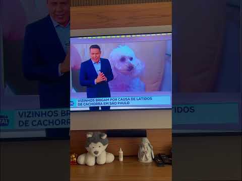 I'M ON TV!! Who watched it?😹❤️