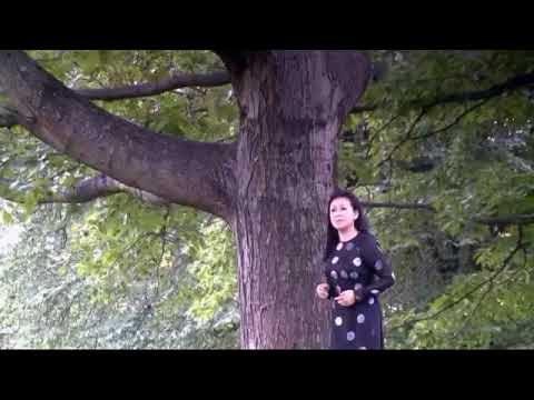 Cũng đâu gì lạ Sheet - Khánh Ly