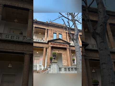 Pinacoteca do Estado de São Paulo, Brasil 🇧🇷 #youtube #viral #fyp #parati #shorts #reels #video
